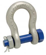 Apex 5394035 - 2-1/2" ANCHOR SHACKLE,BOLT TYPE,H/G