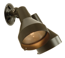 Outdoor Directional Lights